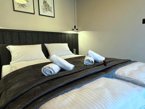1 double bed, 1 sofa bed