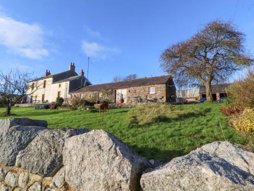 Sonya's Cottage - image 10