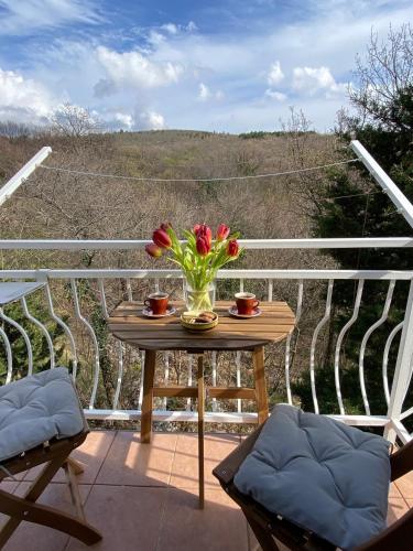 Balkons/terase, Family friendly house with a swimming pool Donji Zagon, Novi Vinodolski - 20568 in Donji Zagon