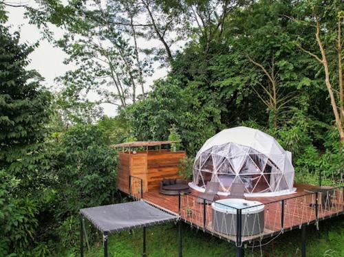 Moonlight glamping, Fortuna (photo 7)