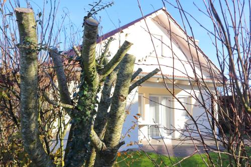 Holiday Home room in Ferienhaus Gudrun
