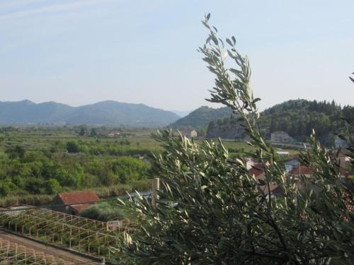 Apkārtne, Suite Tangerine Studio in Banja