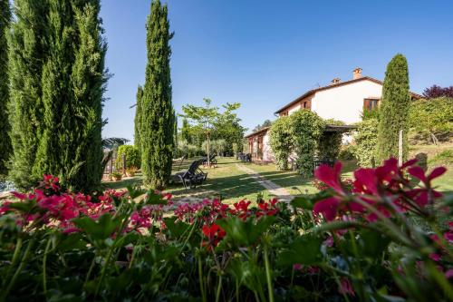 La Pievina - image 12