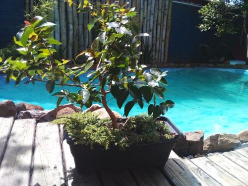 Atelier House in São João do Rio Vermelho