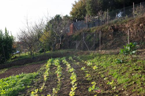 Ecofurtado, Furtado (fotografie 6)