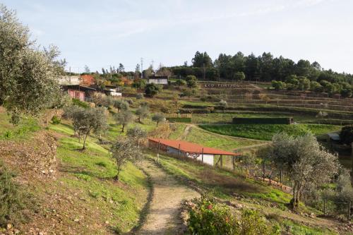 Ecofurtado, Furtado (fotografie 10)