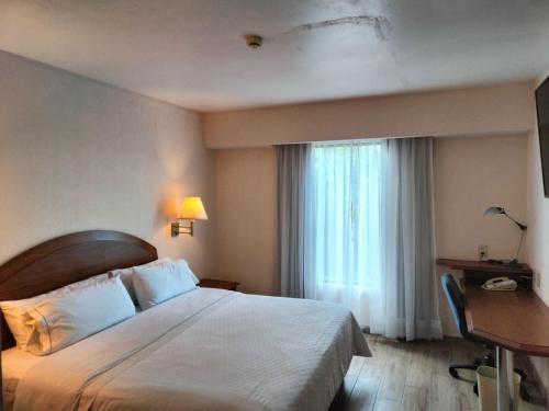 波萨里卡嘉年华酒店 波萨里卡嘉年华酒店