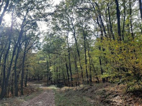 A környék, Chata na samote in Oponice