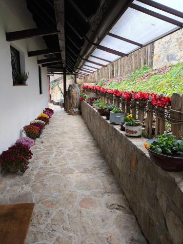 Konak Lecic in Korenita