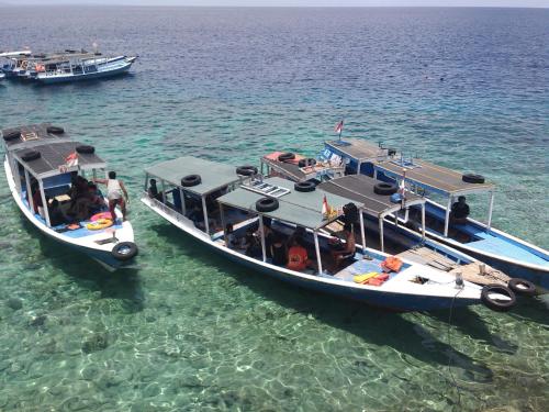 Sports and activities, Molleh Guest House in Pemuteran