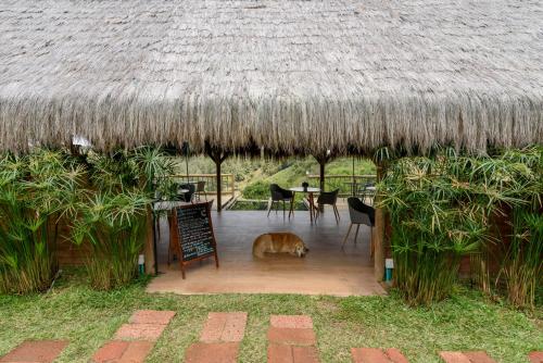 Restaurant, Levit Glamping - Hotel Guatape Penol in Guatape