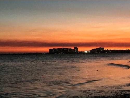 Miami Oasis by Brickell and Beaches Miami Oasis by Brickell and Beaches