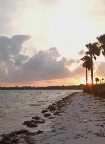 Miami Oasis by Brickell and Beaches Miami Oasis by Brickell and Beaches