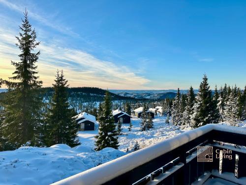 Cozy spacious cabin with sauna at Natrudstilen in Ringsaker