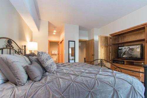 Village Majesty - #1 in Breckenridge, USA