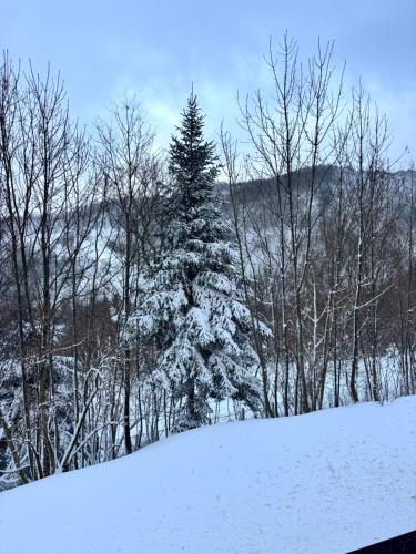 Kilátás, Cozy Mountain Apartment with Cimone view in Abetone