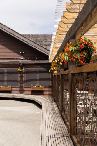 Sol Duc Hot Springs Resort - 숙소 외관