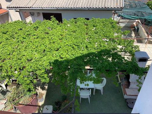Apartments Josip - with parking - image 14