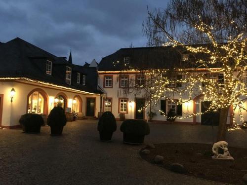 Gutshotel Weingut Schloss Reinhartshausen in 萊茵河畔埃爾特菲萊