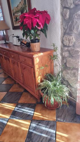 Casa Rural EL CENTENAL, Granada (fotografie 2)