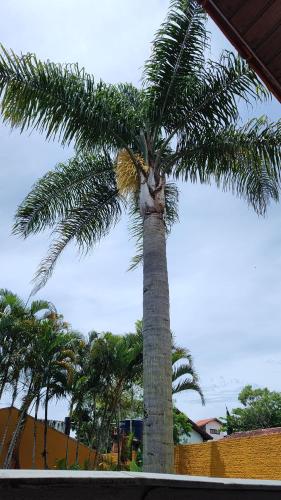 Sossego in Rio Tavares