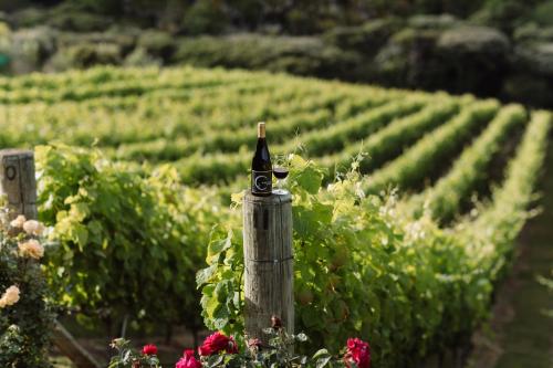 Barrique Studio with Sauna at Barrelled Wines Raglan