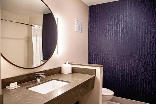 Suite, 1 King, Sofa bed