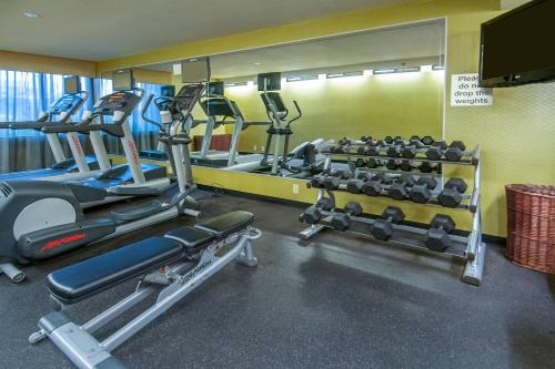 Fairfield Inn & Suites by Marriott Dallas DFW Airport South/Irving - image 11