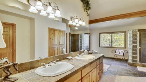 Paper Birch 09 Paper Birch 09