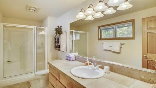 Paper Birch 09 Paper Birch 09