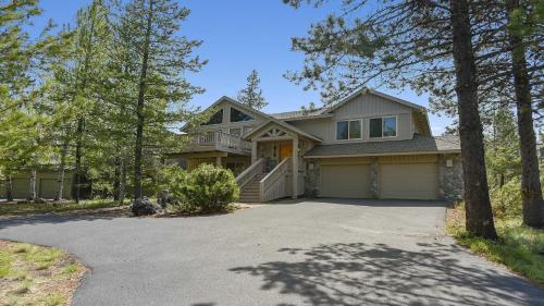 Paper Birch 09 Paper Birch 09