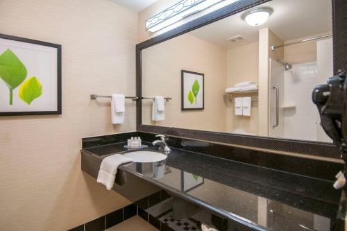Fairfield Inn & Suites by Marriott San Antonio North/Stone Oak - image 12