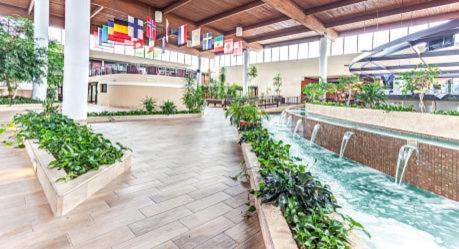 Wyndham Garden Detroit Metro Airport - image 38
