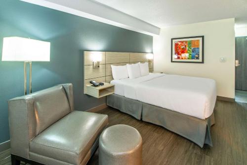 Business King Room - Non-Smoking