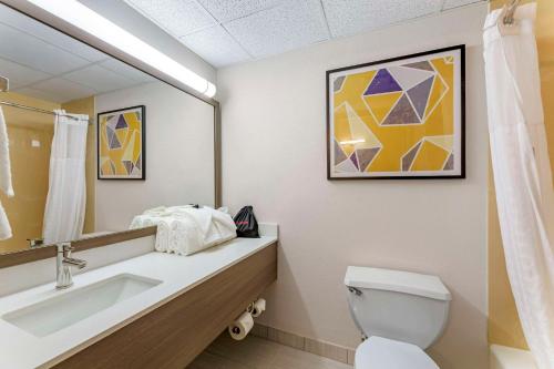 Comfort Inn & Suites Cuyahoga Falls - Akron in Cuyahoga Falls, USA