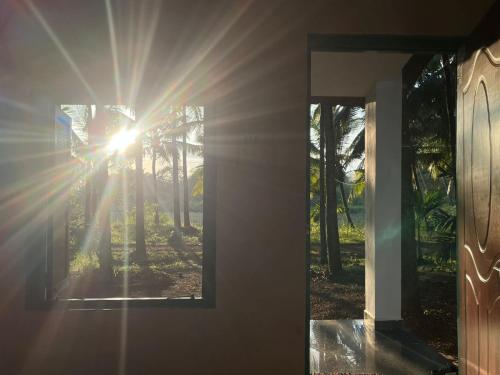 India Yoga Village - Cola