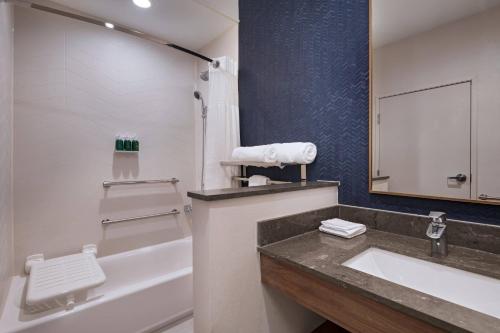 Suite, 1 King, Sofa bed