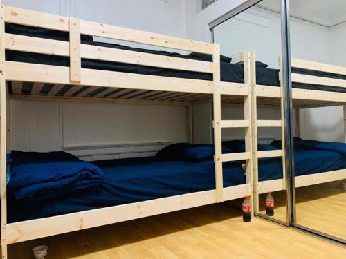 Bunk Bed in Mixed Dormitory Room