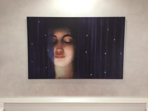 Picaflor Art & Rooms, Milán (fotografie 6)