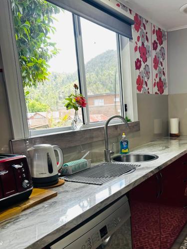 The Lazy Frog Cottage in Queenstown