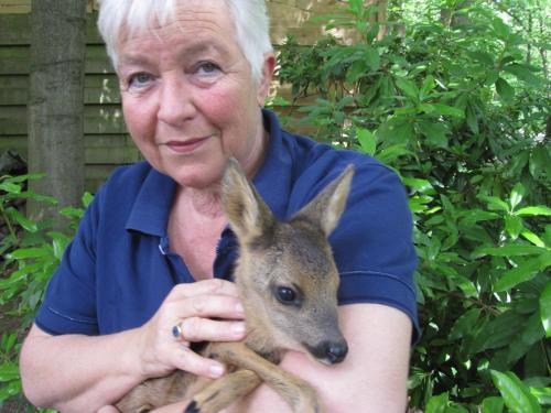 Regina Vught - image 14