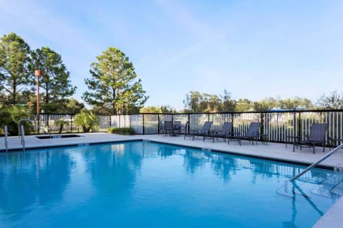 Fairfield Inn & Suites Tampa Fairgrounds/Casino - image 10