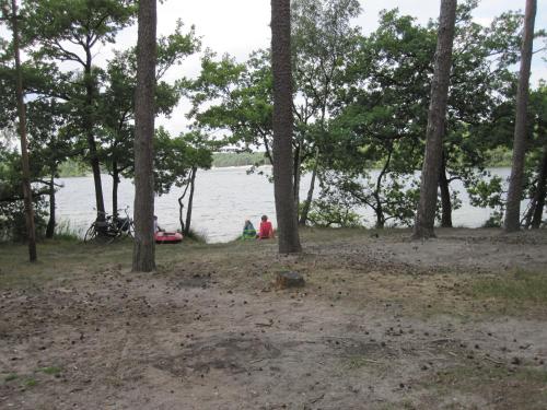 Regina Vught - image 8