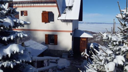 Apartments Casa Pavlovic - Kopaonik