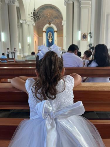 Central Park Luxurious Historical Home With Pool