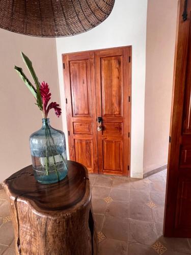 Central Park Luxurious Historical Home With Pool