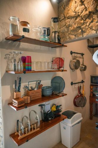 Central Park Luxurious Historical Home With Pool