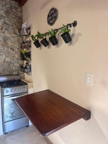 Central Park Luxurious Historical Home With Pool