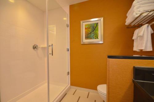 Fairfield Inn & Suites by Marriott St. Louis Pontoon Beach/Granite City IL - image 6