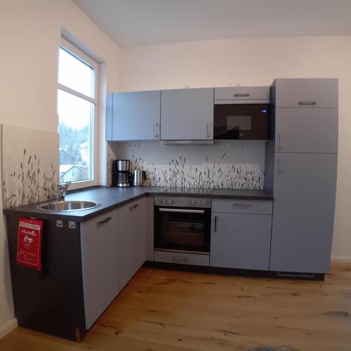 Lauschablick FeWo Thüringen (Lauschablick FeWo Thuringen) in 勞莎